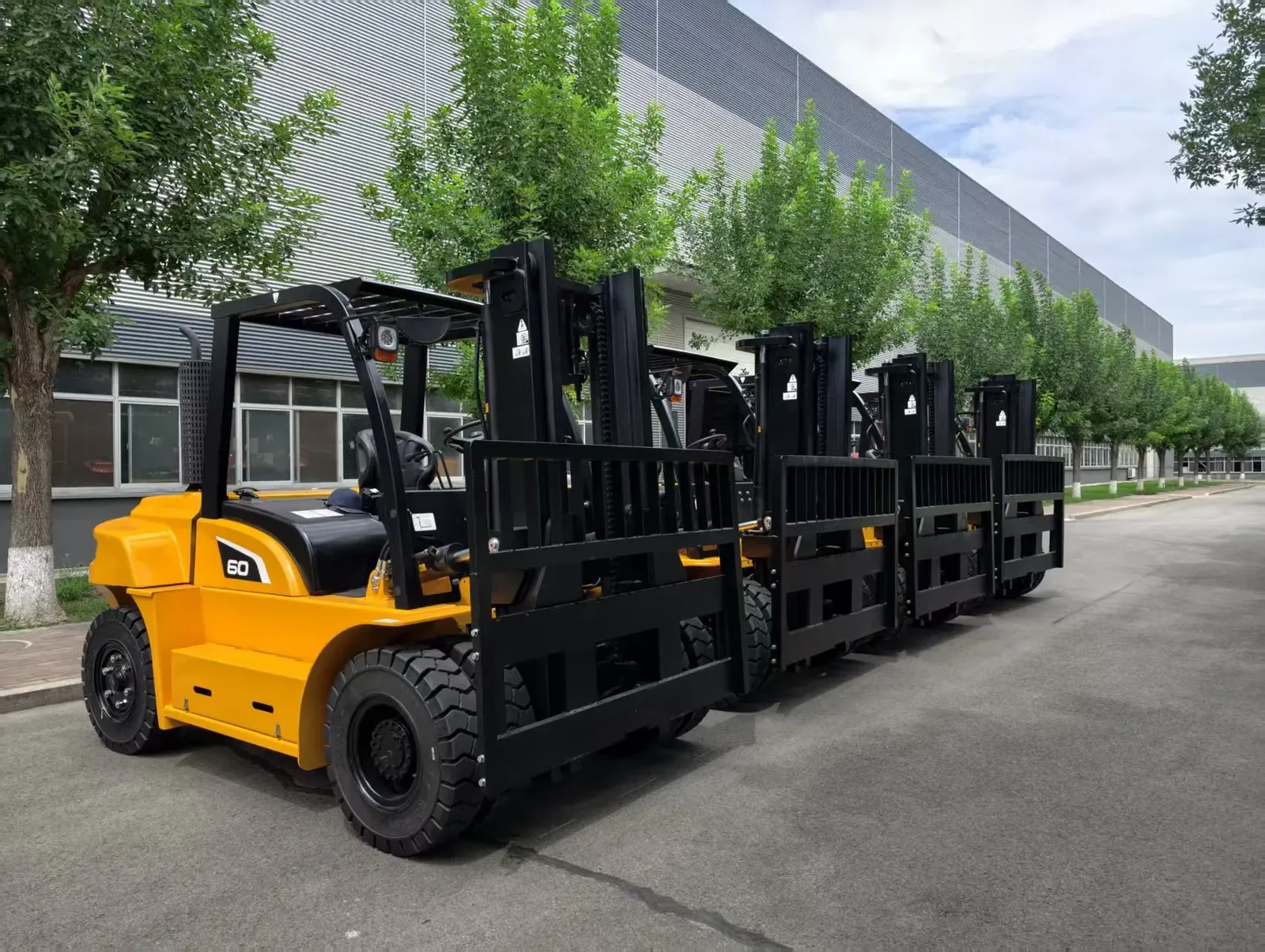 Premium 6000 kg Diesel Forklift Truck 6 Ton